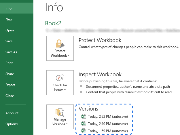 Manage Excel Versions