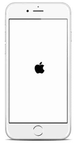 iPhone 6 Bootloop 