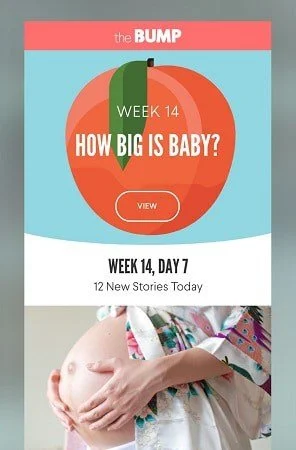 Bump Pregnancy Tracker