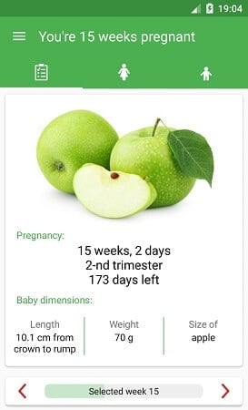 Pregnancy Week by Week