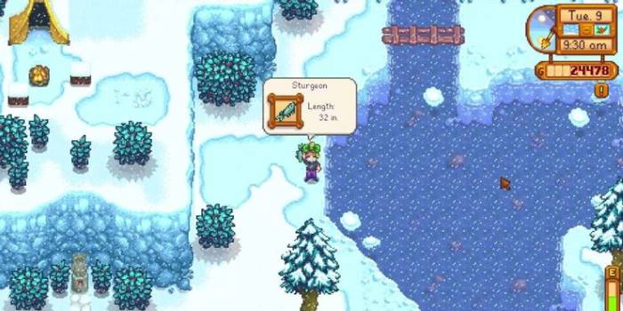 Sturgeon Stardew Valley