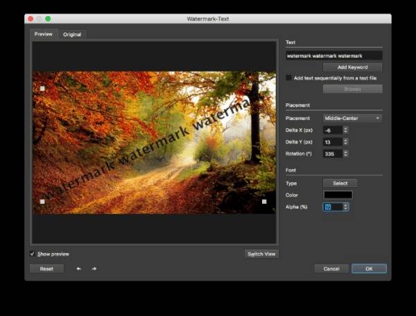 How to Put a Watermark on a Photo Without Photoshop Using BatchPhoto Pro