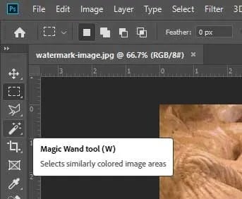 Photoshop Magic Wand Tool