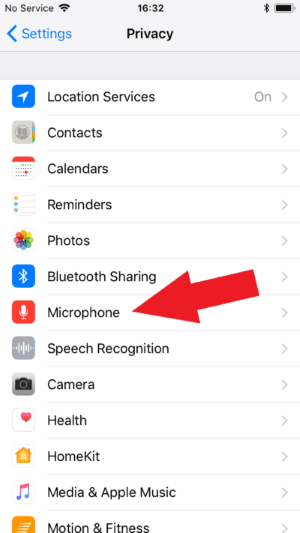 Privacy > Microphone
